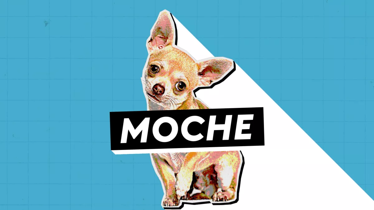MOCHE