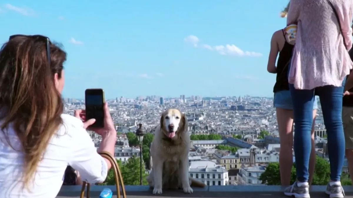 LFEV doc animaux de compagnie