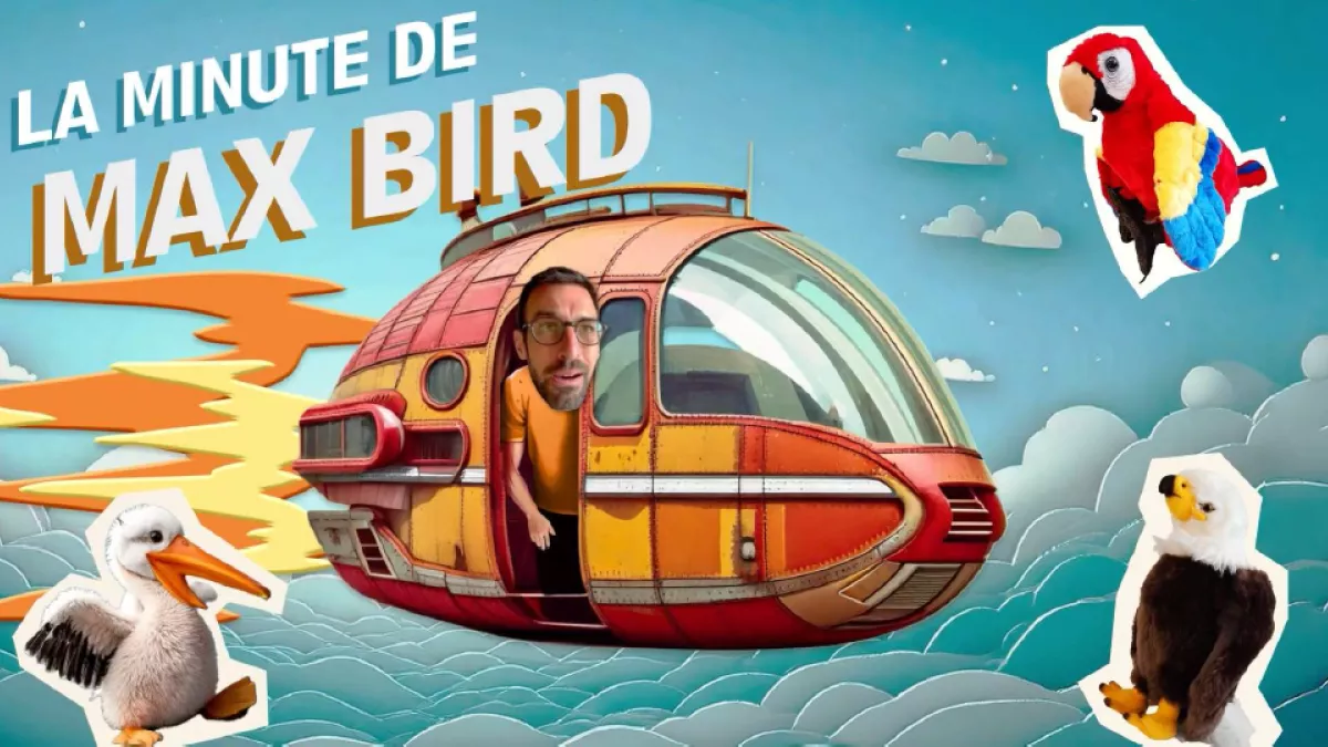 La minute de Max Bird