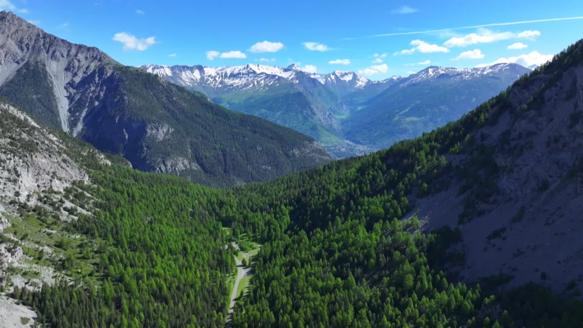 clarée