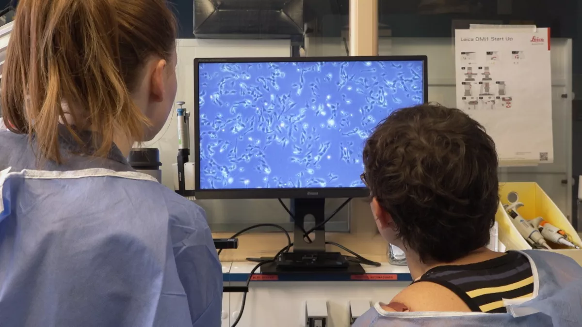 Contrepoisons_Analyse des cellule