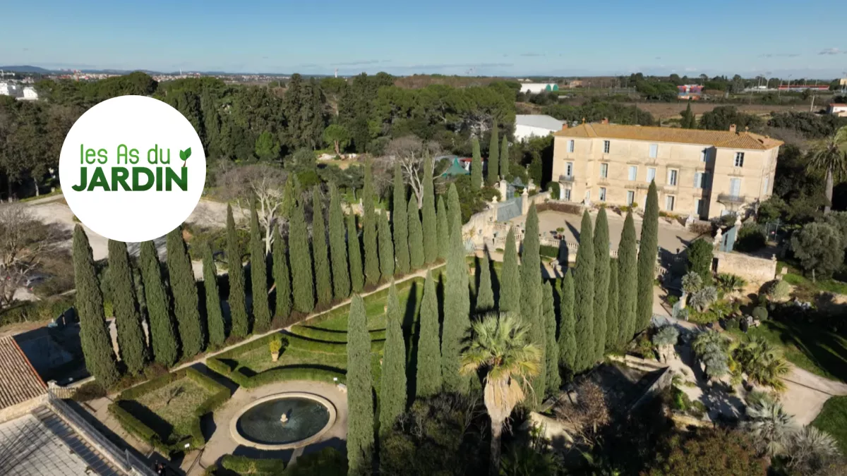 Les As du Jardin Les As du Jardin