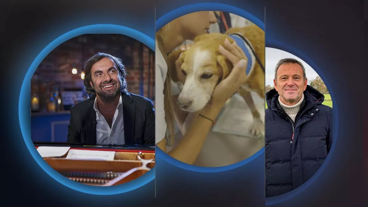 Les nouveaux magazines