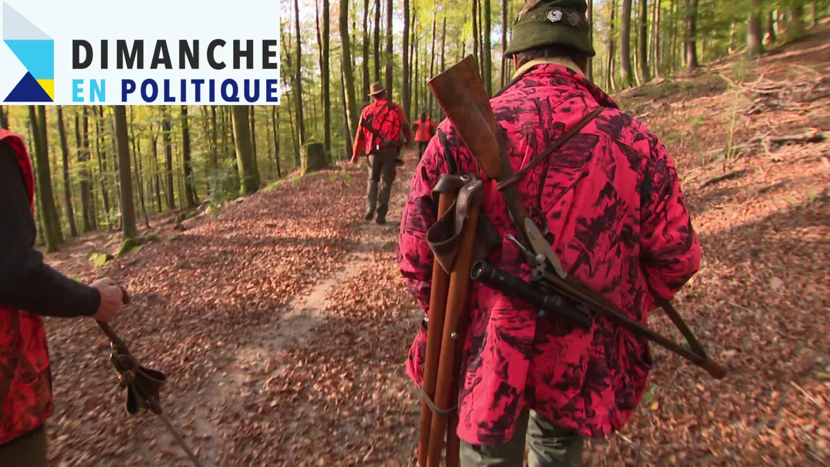 Dimanche en politique - Chasse - CREDIT FTV des chasseurs de dos, en forêt