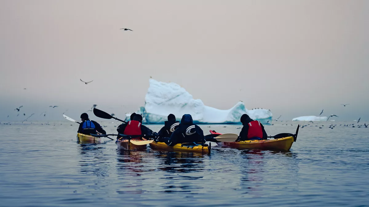Des pépites et des icebergs