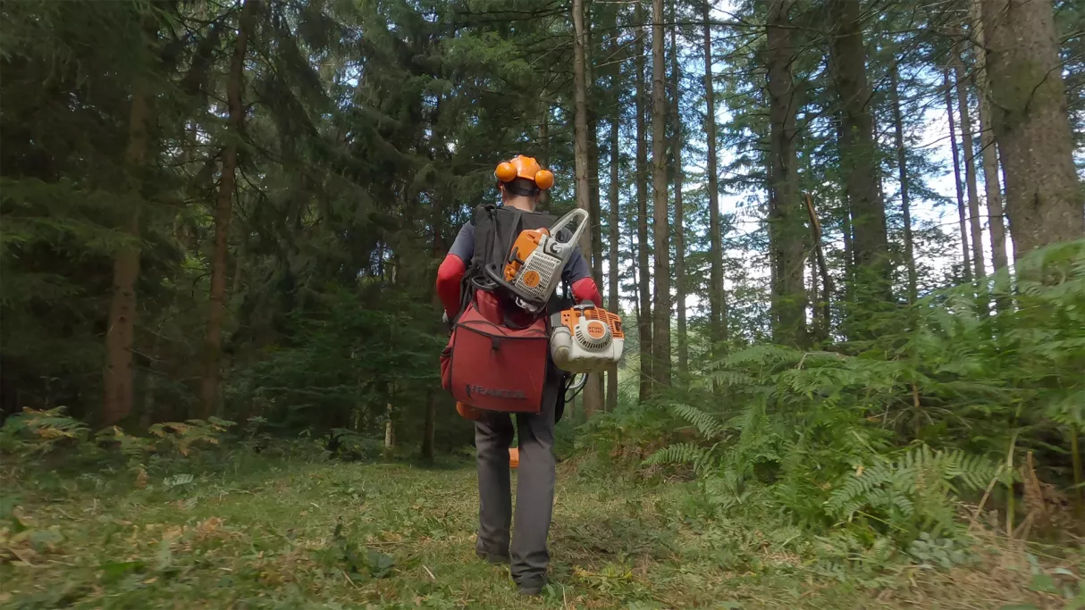 Des chemins en commun