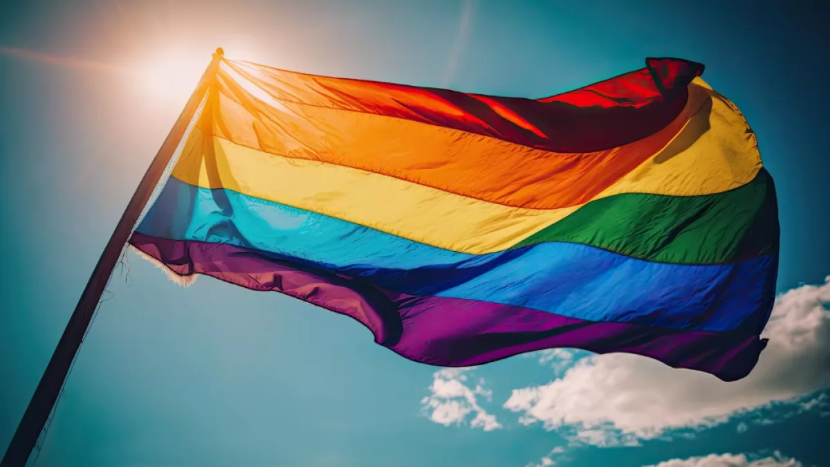 EDR LGBT