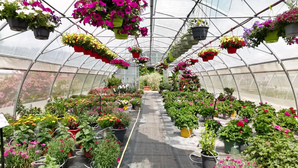 Enquête de région : la folie des jardins