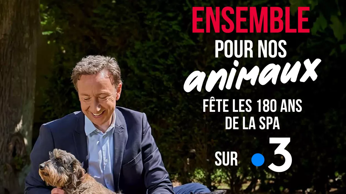Ensemble pour nos animaux