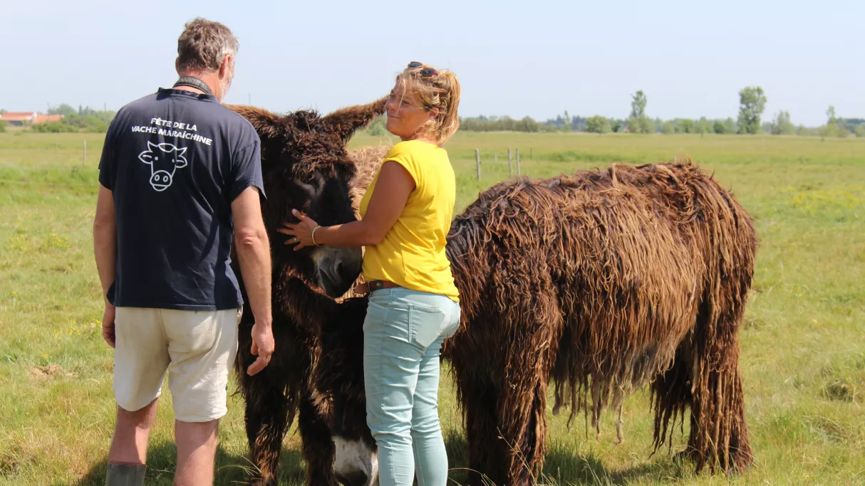 Envie dehors ! Marais breton vendéen, entre terre et mer © Clémence Laroque
