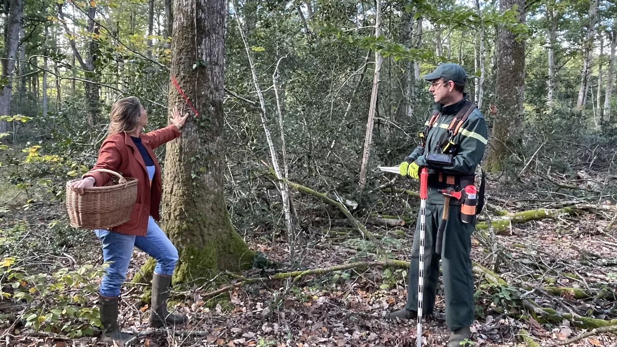 Envie dehors ! A l’orée de la forêt du Gâvre Envie dehors ! A l’orée de la forêt du Gâvre