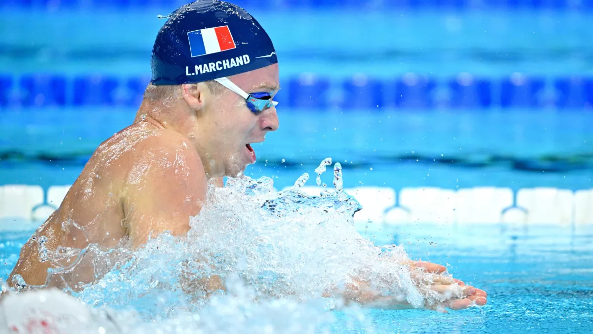 Natation