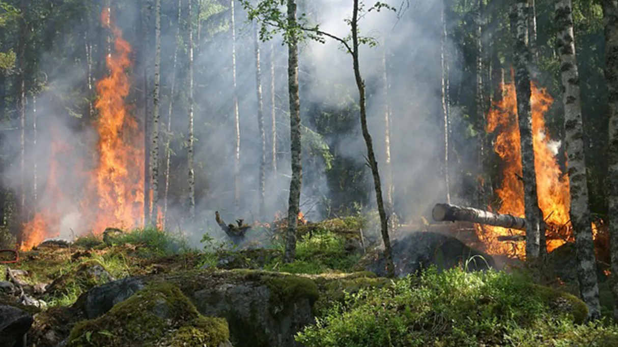 Incendie