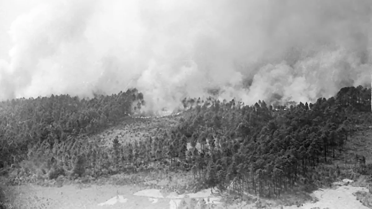 Incendies foret 1949 Incendies foret 1949