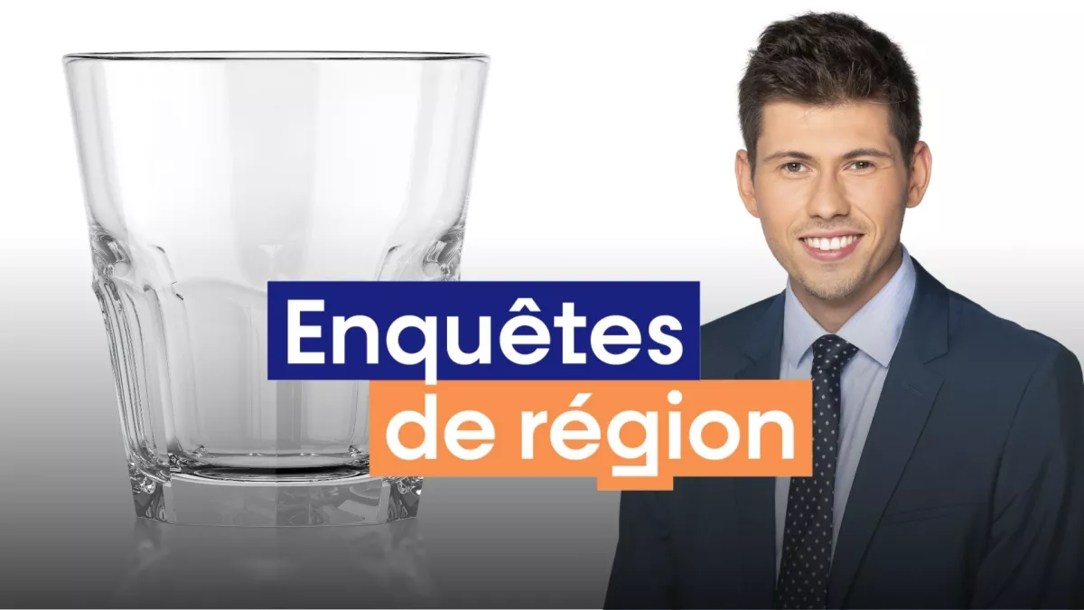 Enquetes de region cvdl décembre