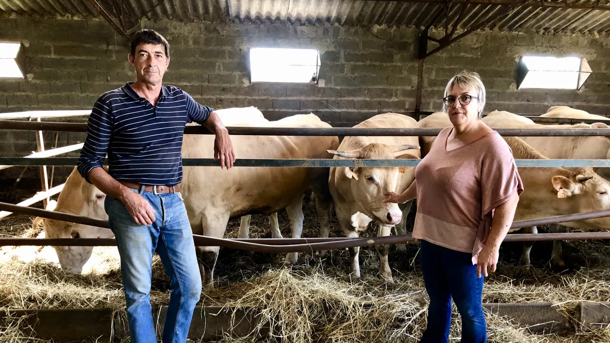 L'AMOUR VACHE