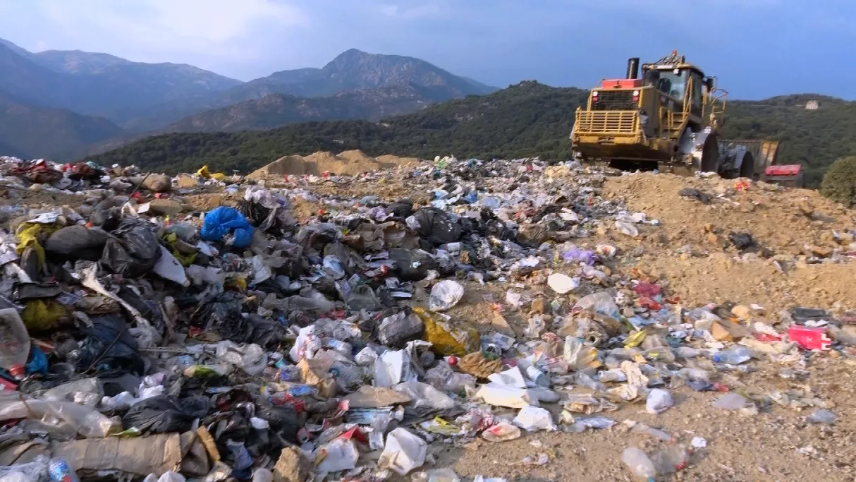 Le cri des goélands 