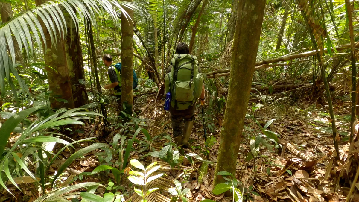 Les plus beaux treks : Guyane