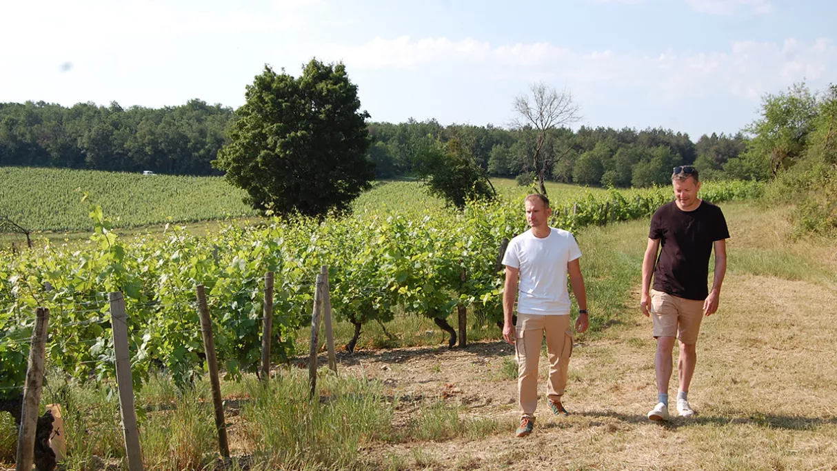 Le Mâconnais, la vigne en héritage