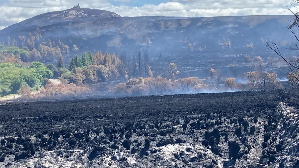 Les Mont d'Arrée après les incendies