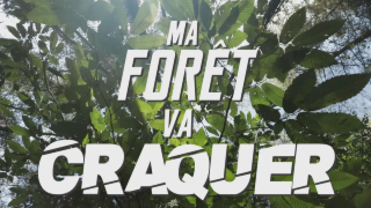 Ma Forêt va craquer