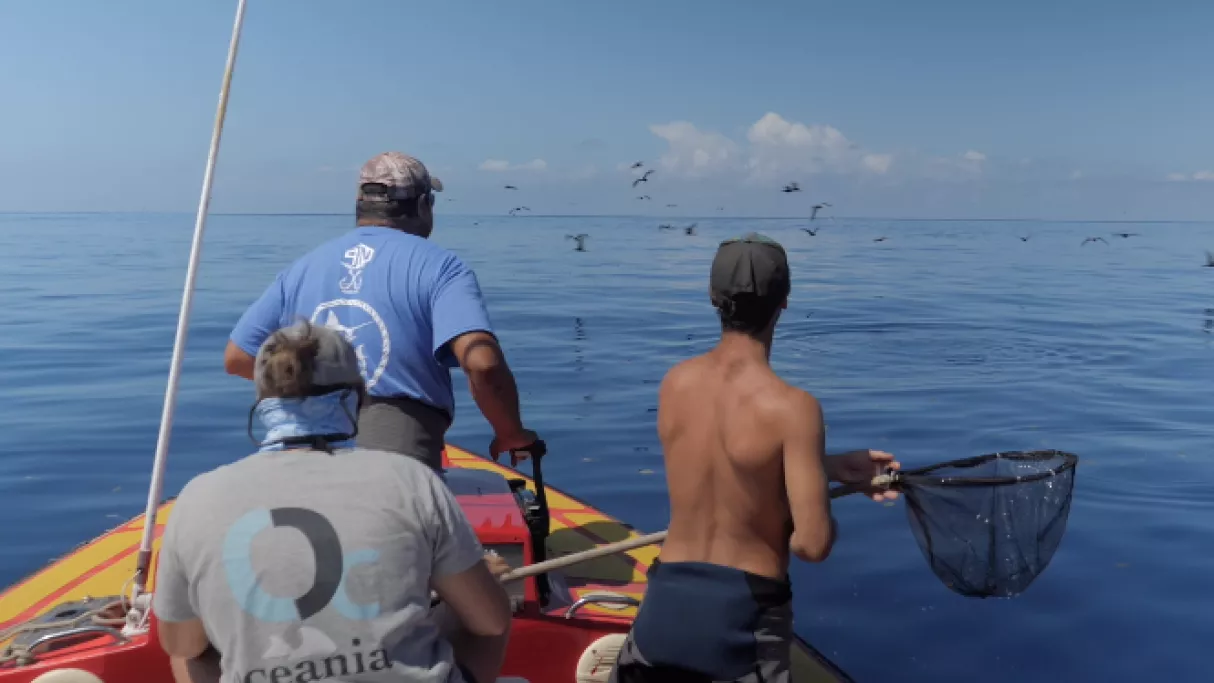 Projet Faa'ora Bleu Océan - Mag 14