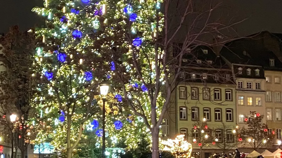 Noël à Strasbourg - France 3 Grand Est