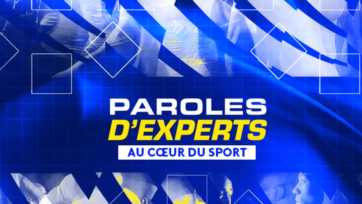 Paroles d'Experts