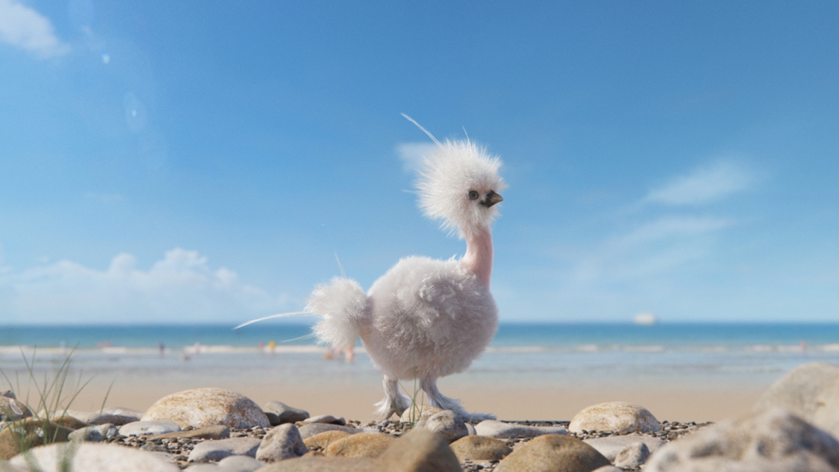 Poule à la plage