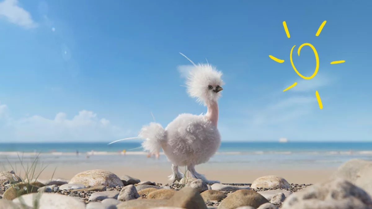 Cot, kot et cotte à la plage