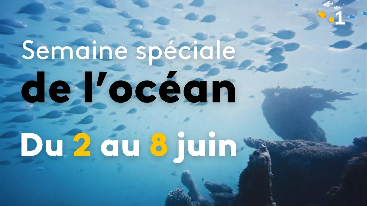 Semaine spéciale de l'océan