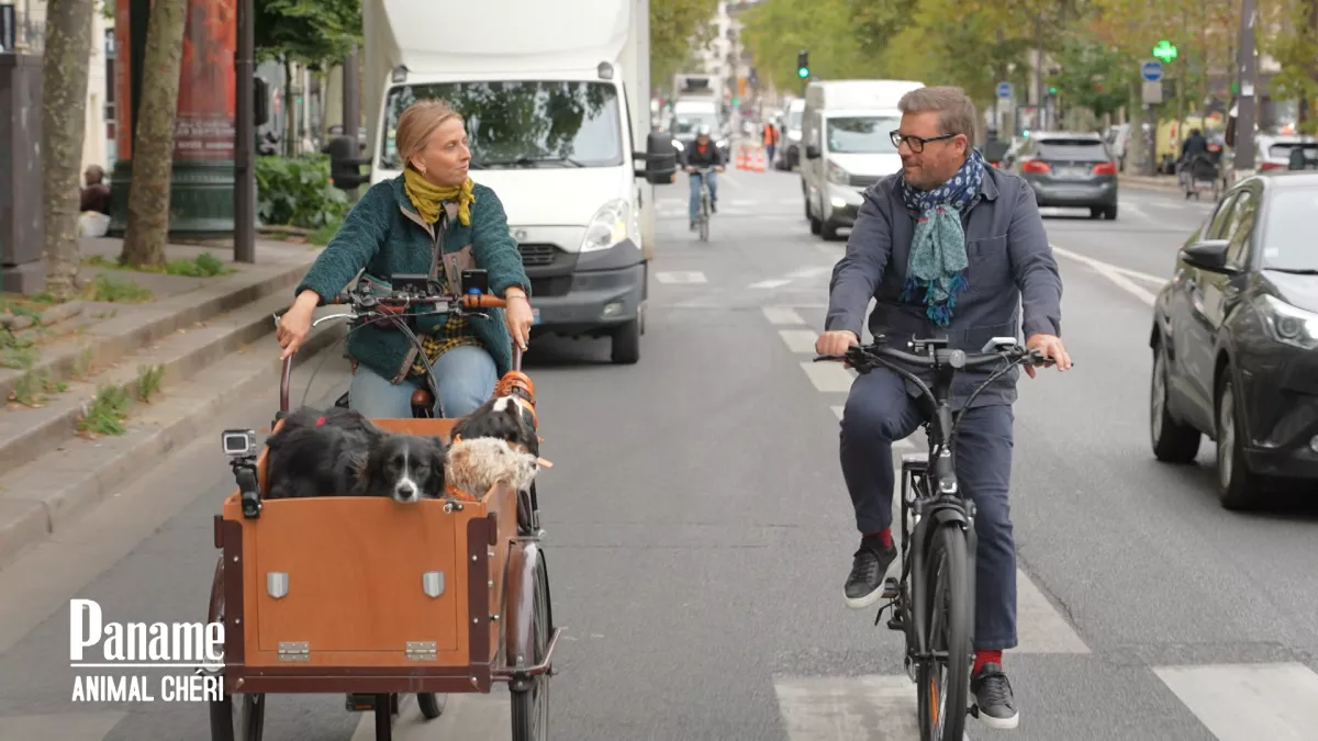 Paname239 - ©13PRODS_France TV_1.png