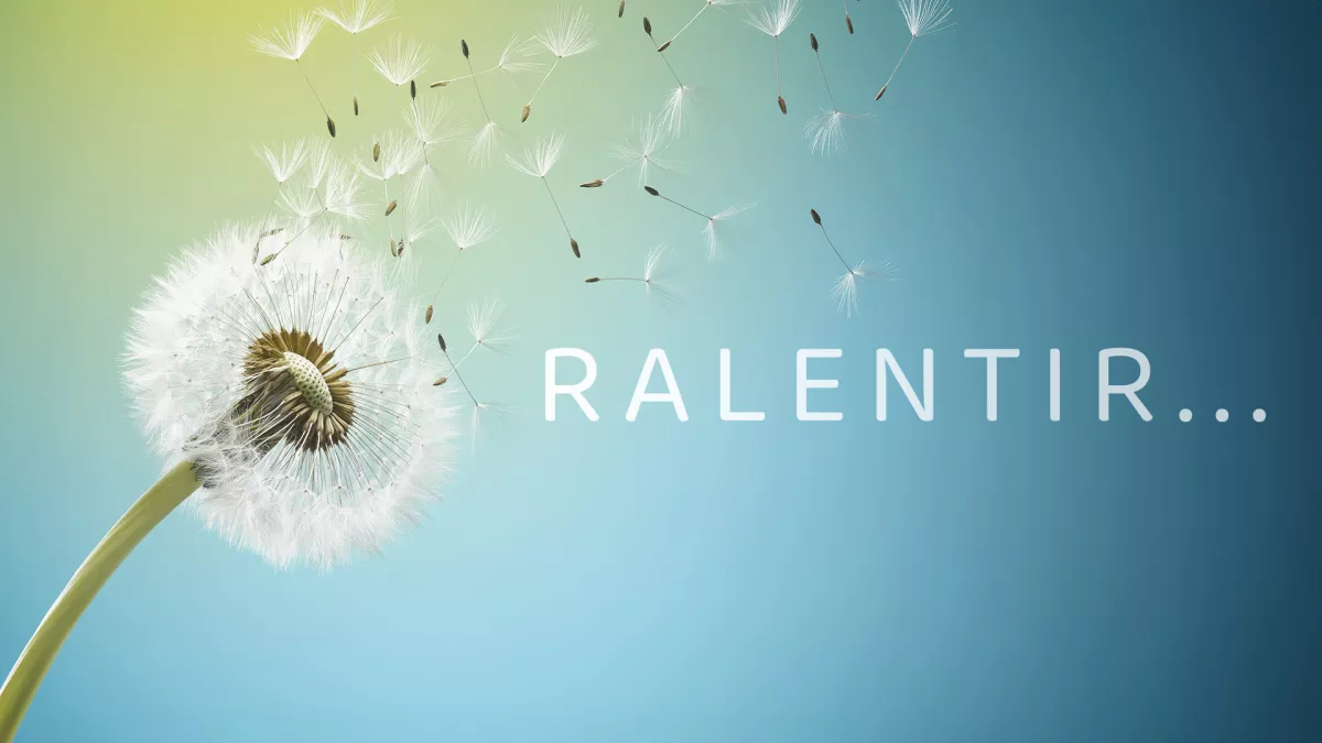 Relentir