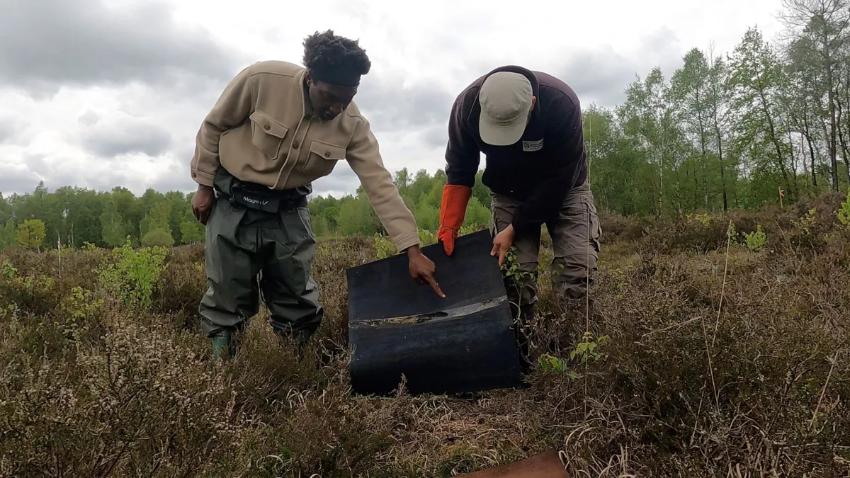 SAINT-GOBAIN EN PLEINE NATURE (C) HIKARI PRODUCTION