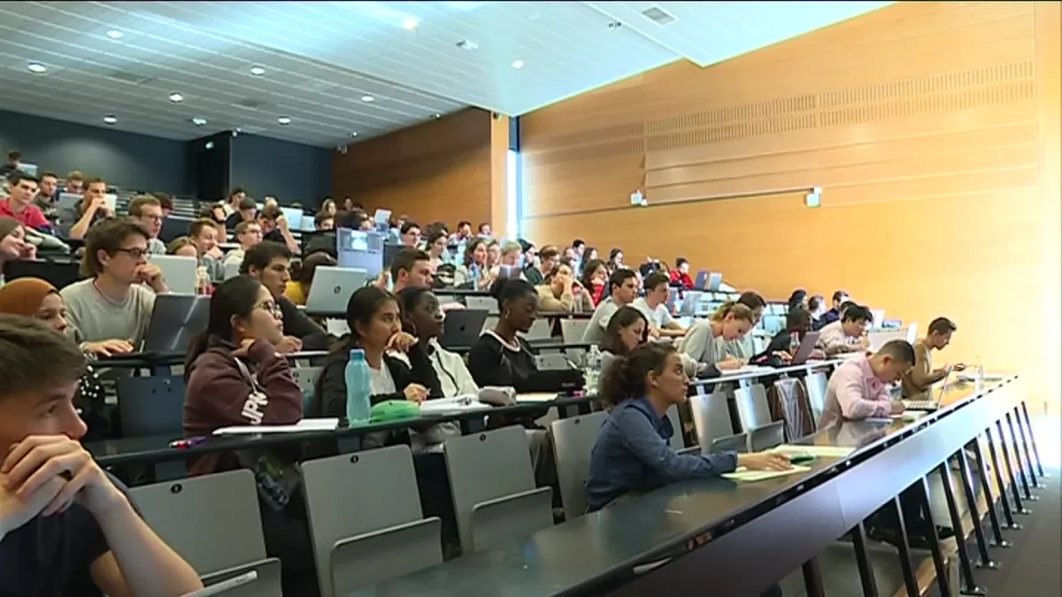 Université d'Angers Université d'Angers