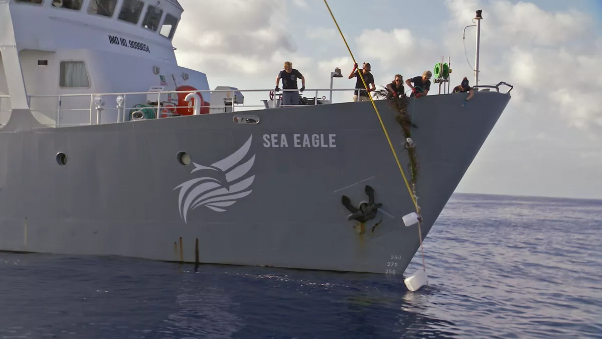 Les volontaires de Sea Shepherd luttent contre le braconnage en mer © Seppia / France Télévisions Un bateau de Sea Shepherd - Documentaire "Les sentinelles de la mer"