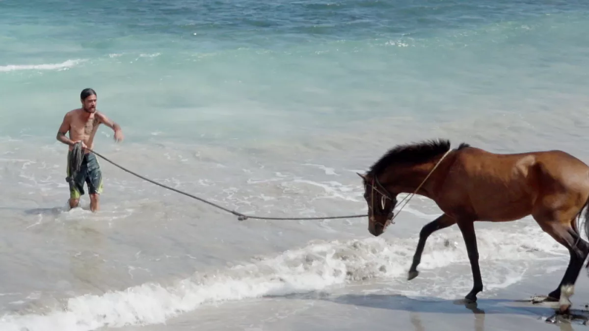 UA HUKA : L'ÎLE AUX CHEVAUX 