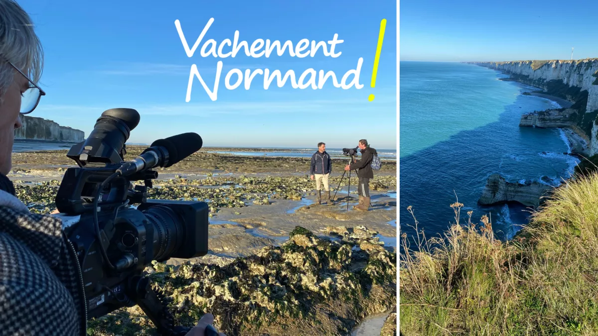 Vachement Normand Côte d'albatre