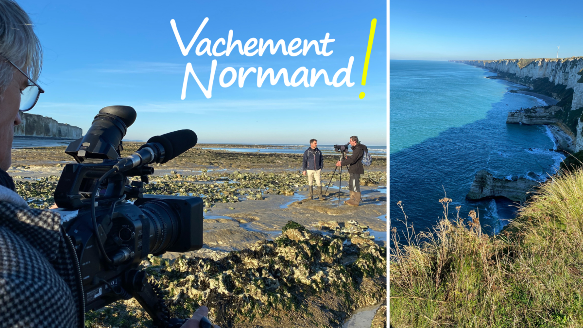 Vachement Normand Côte d'albatre