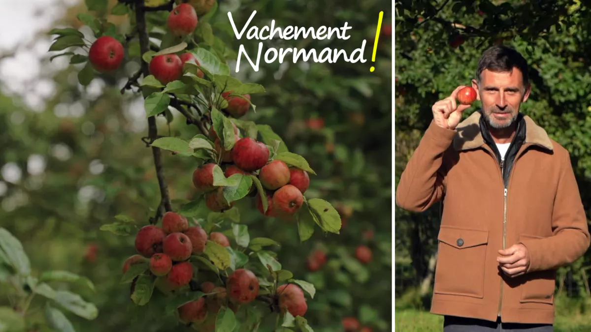 VAN L'Eure la pomme en héritage
