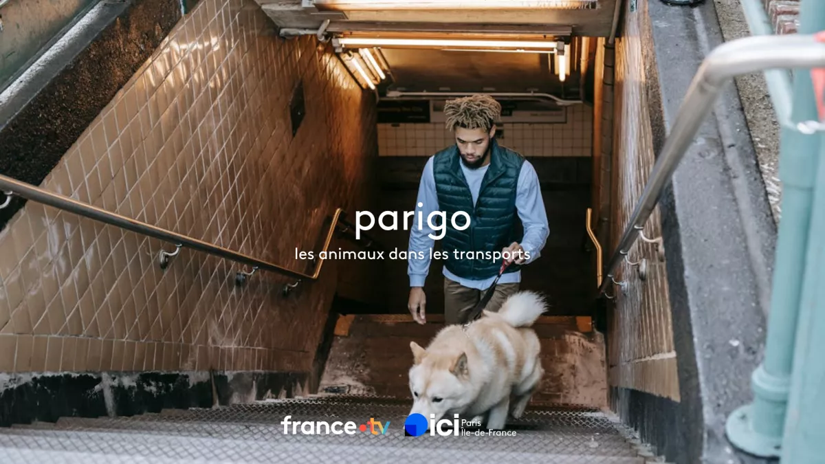 Les animaux dans transports