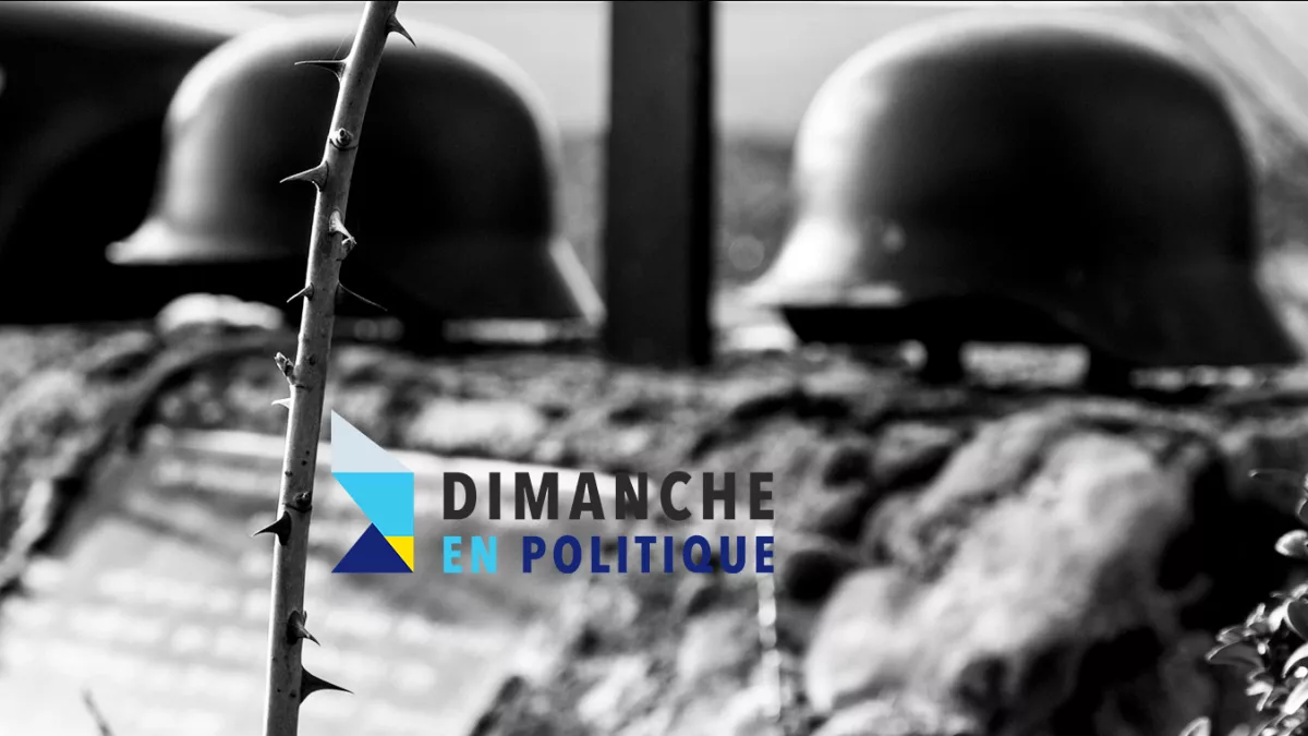 Dimanche en Politique - les Malgré Nous CREDIT sick-street-photography Dimanche en Politique - les Malgré Nous CREDIT sick-street-photography
