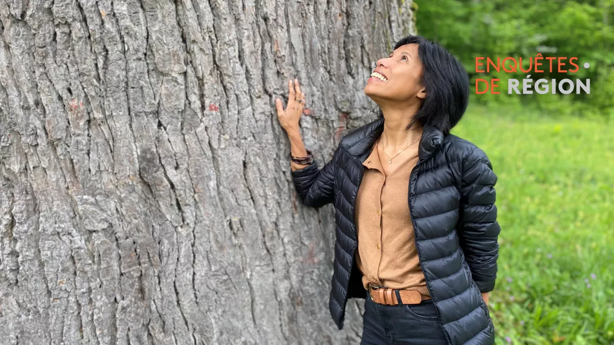 Sylvie Malal au pied d'un immense arbre du parc national de forêts 