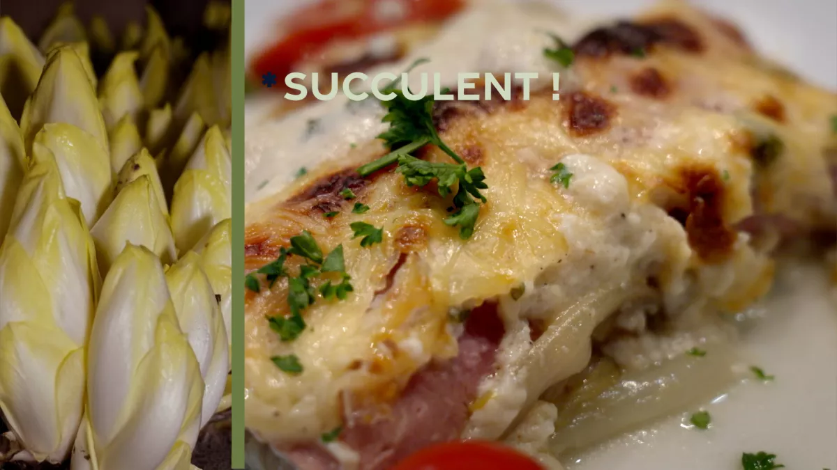 Succulent ! - Recette et trésors autour des endives, chicons, perles du Nord - CREDIT FTV