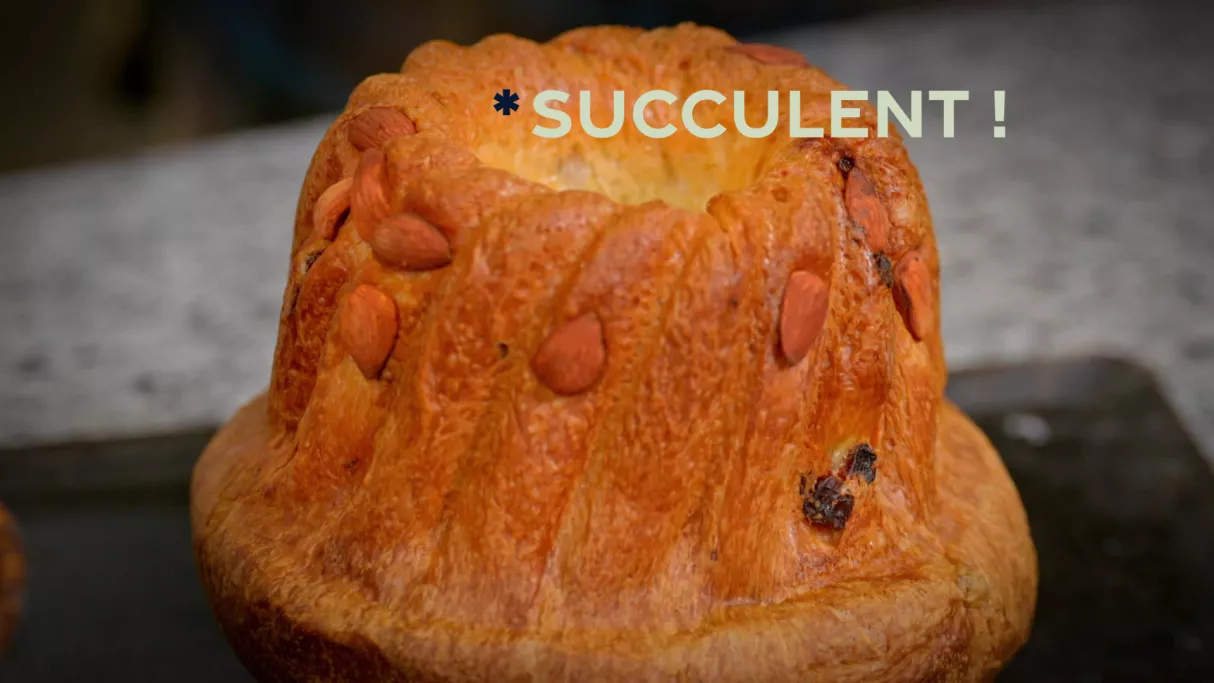 un kougelhopf de l'émission Succulent ! 