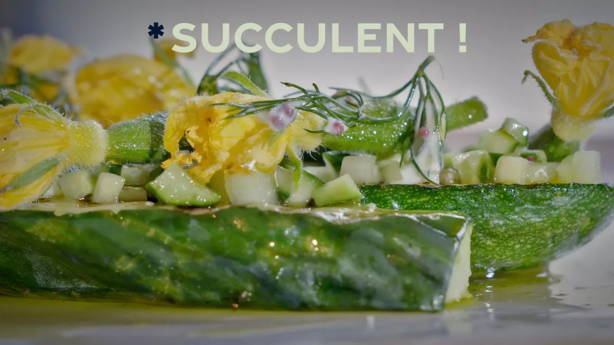 Succulent ! Cornichon - crédit FTV Succulent ! Cornichon - crédit FTV