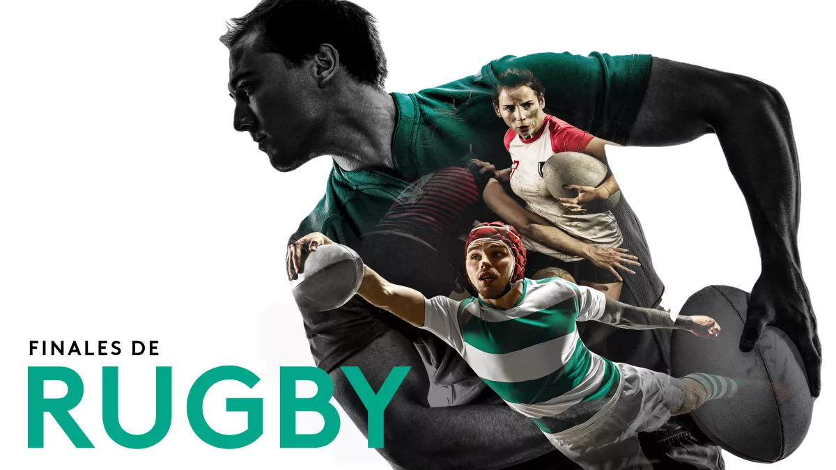 rugby
