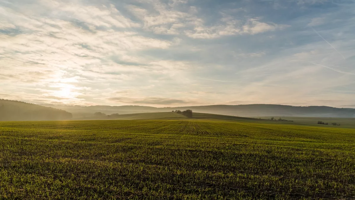 rural