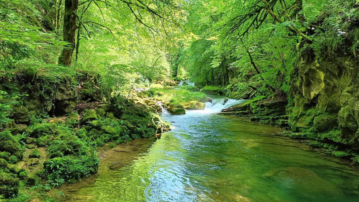 la rivière de la Loue dans la vallée d'ornans