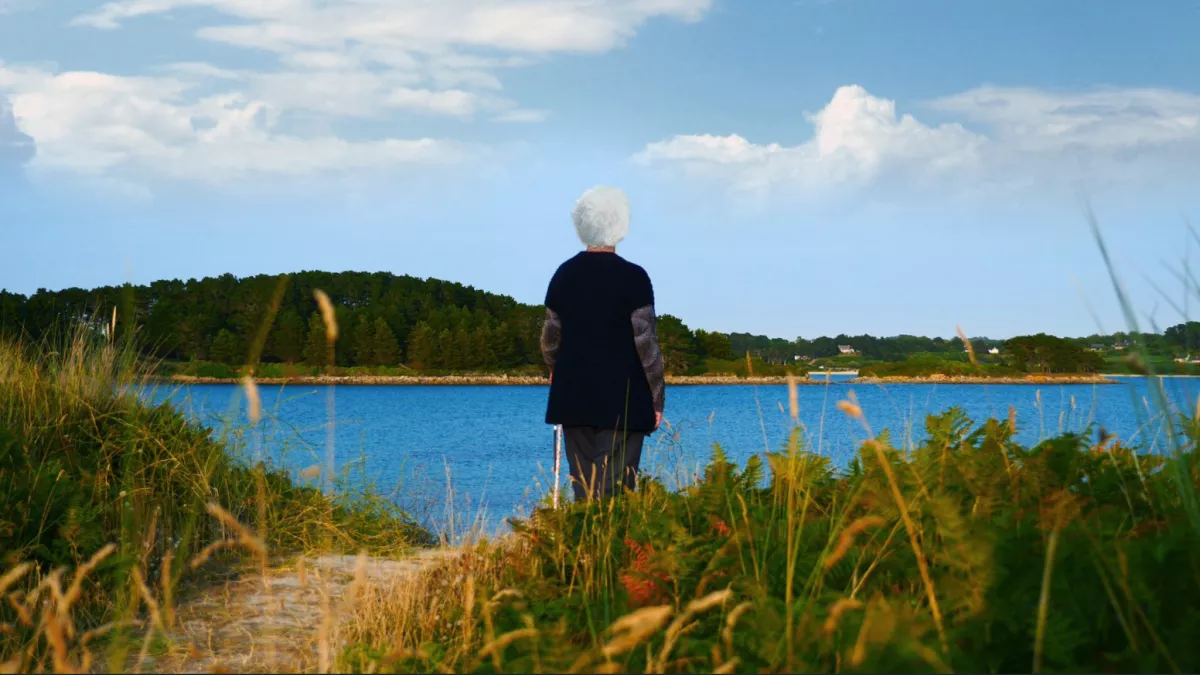 andrée en son île